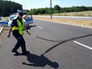 Policjant rozkłada kolczatkę drogową.