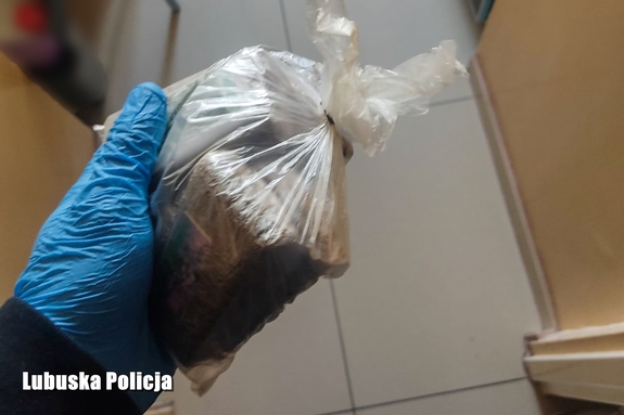 Narkotykowy diler aresztowany – policjanci zabezpieczyli prawie pół kilograma środków odurzających