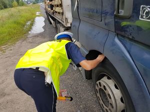 Policjant Wydziału Ruchu Drogowego wraz ze Strażą Leśną podczas kontroli drogowej.