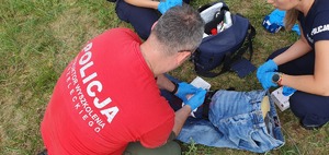 Policjanci podczas szkolenia ćwiczą na manekinie pierwszą pomoc przedmedyczną.