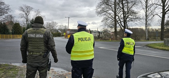 Wspólne działania Policji i Straży Leśnej