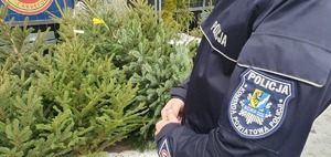 Umundurowany policjant na tle choinki.