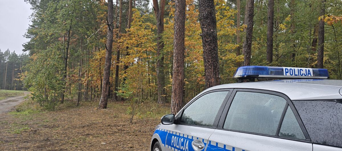 Policja apeluje o bezpieczeństwo podczas grzybobrania w lubuskich lasach